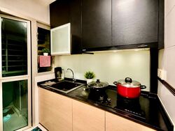 Edgefield Plains (Punggol),  #607268471